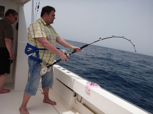 Trigger fisk - Cavalier & Blue Marlin Sport Fishing Gran Canaria