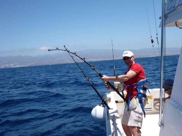 Gran Canaria fiske nyheter - Cavalier & Blue Marlin Sport Fishing Gran Canaria