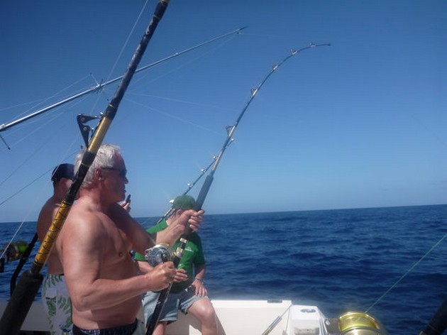 Gott om Skipjacks - Cavalier & Blue Marlin Sport Fishing Gran Canaria