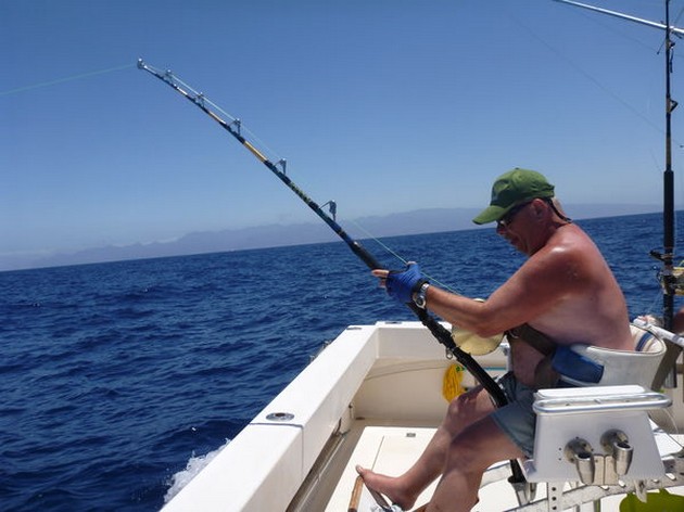 Hooked Up Cavalier & Blue Marlin Sport Fishing Gran Canaria