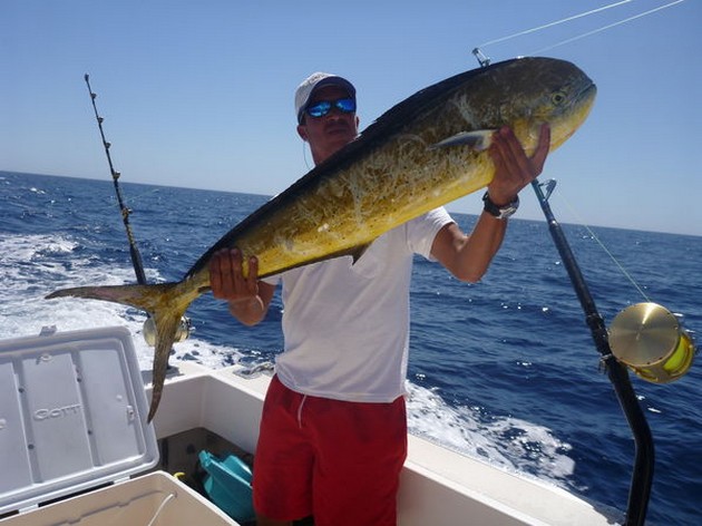 22 kg Dorado - Cavalier & Blue Marlin Sport Fishing Gran Canaria