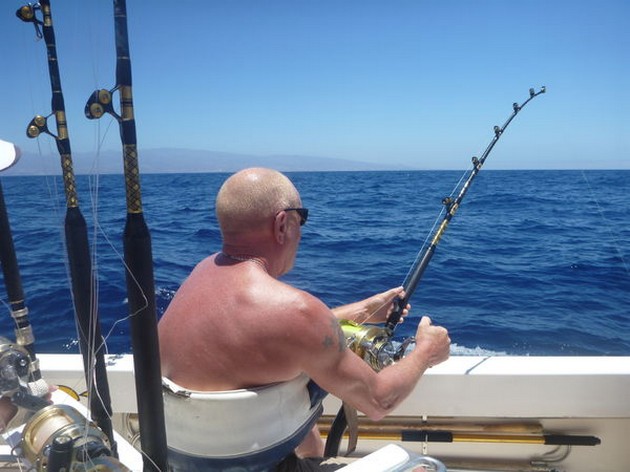 300 lb Blue Marlin - Cavalier & Blue Marlin Sport Fishing Gran Canaria