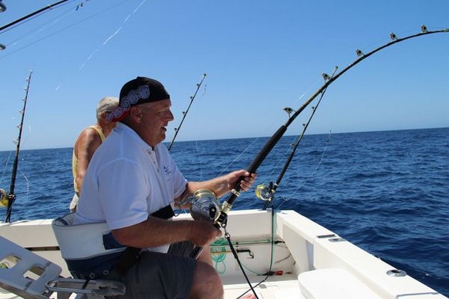 2 Blues & 1 Vit - Cavalier & Blue Marlin Sport Fishing Gran Canaria