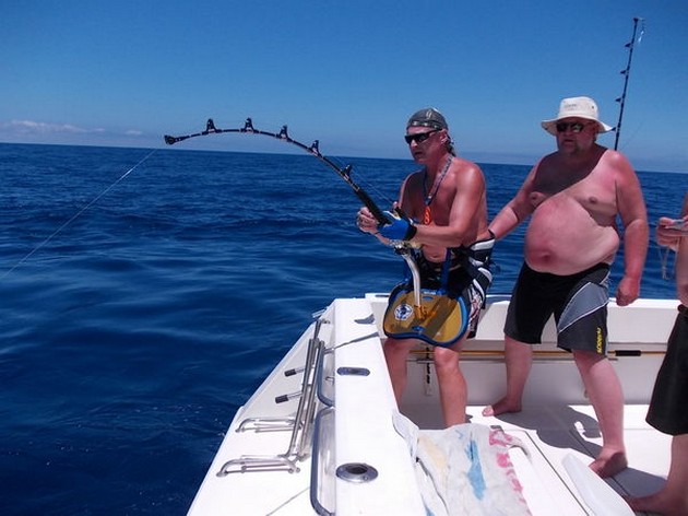 2 Blues släppt - Cavalier & Blue Marlin Sport Fishing Gran Canaria