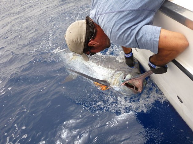 270 kg Blue Marlin - Cavalier & Blue Marlin Sport Fishing Gran Canaria