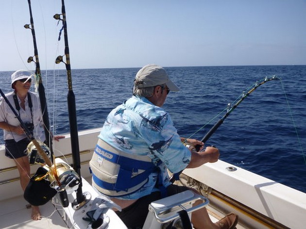 3 Blues + 1 Vit - Cavalier & Blue Marlin Sport Fishing Gran Canaria