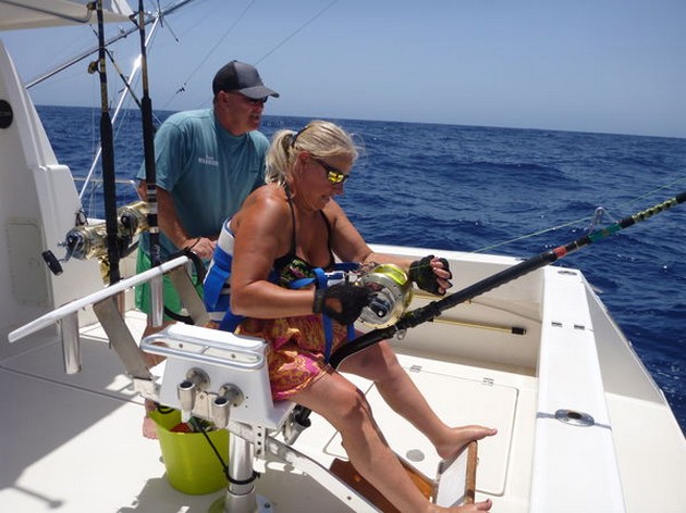 2 Blues & 1 Vit - Cavalier & Blue Marlin Sport Fishing Gran Canaria