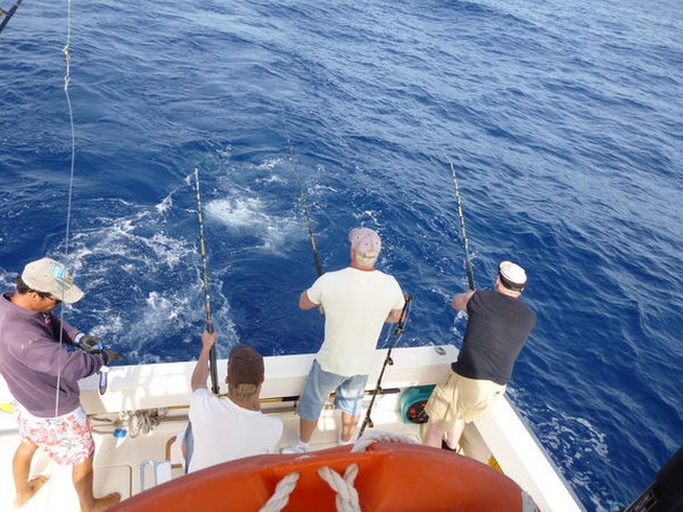 Top Crew Cavalier - Cavalier & Blue Marlin Sport Fishing Gran Canaria