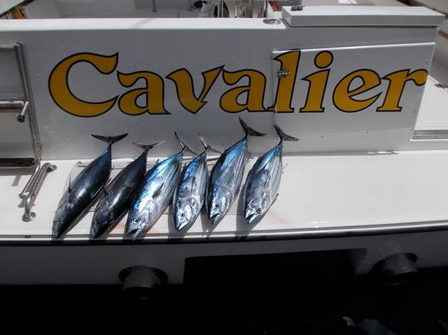 Skipjacks - Cavalier & Blue Marlin Sport Fishing Gran Canaria