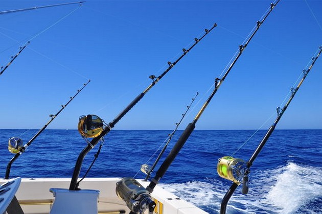 Skipjack tonfisk - Cavalier & Blue Marlin Sport Fishing Gran Canaria