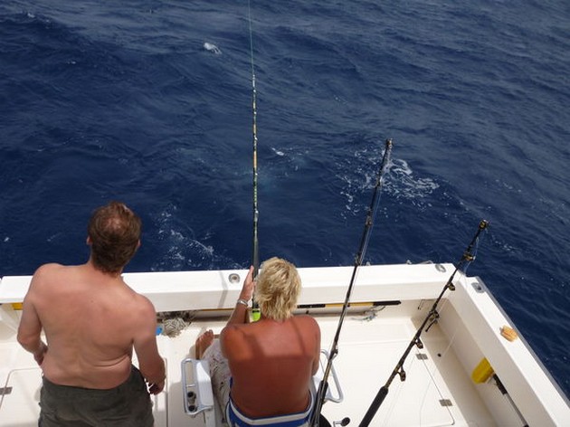 Marlin och Spearfish - Cavalier & Blue Marlin Sport Fishing Gran Canaria