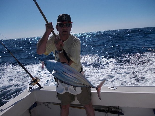 Massor av aktivitet - Cavalier & Blue Marlin Sport Fishing Gran Canaria