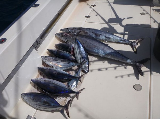 2 WAHOO I dag hade vi Jon Gregory från England ombord - Cavalier & Blue Marlin Sport Fishing Gran Canaria