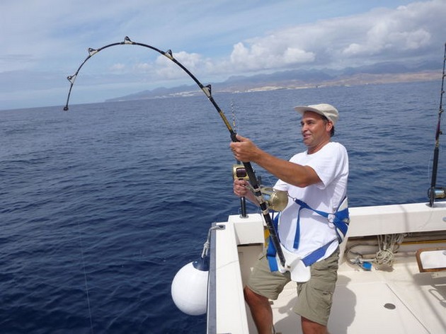 Sting strålar - Cavalier & Blue Marlin Sport Fishing Gran Canaria