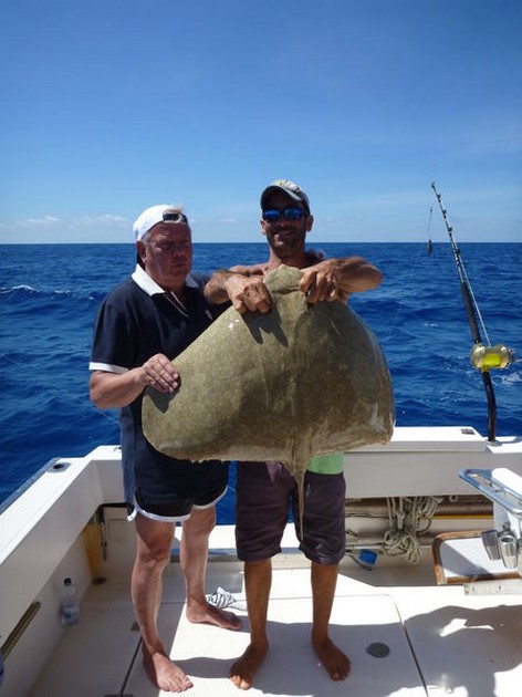 Fjärilsstråle - Cavalier & Blue Marlin Sport Fishing Gran Canaria