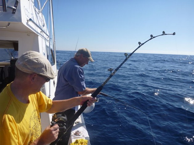 2 Wahoo's - Cavalier & Blue Marlin Sport Fishing Gran Canaria