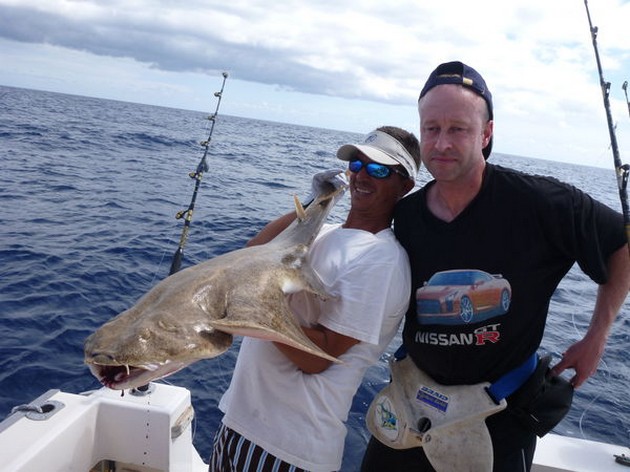 Angelshark - Cavalier & Blue Marlin Sport Fishing Gran Canaria