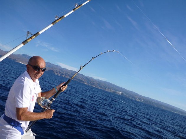 Bra fångst - Cavalier & Blue Marlin Sport Fishing Gran Canaria