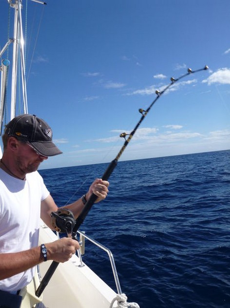 Hooked Up Cavalier & Blue Marlin Sport Fishing Gran Canaria