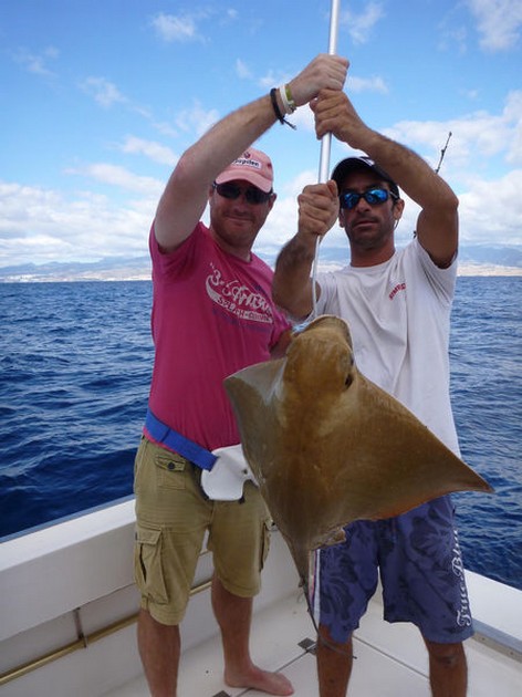 Strålar - Cavalier & Blue Marlin Sport Fishing Gran Canaria