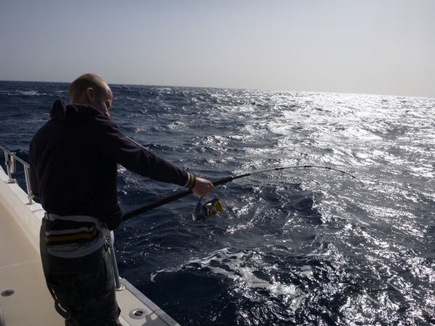 Blåsigt - Cavalier & Blue Marlin Sport Fishing Gran Canaria