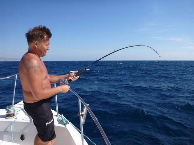 RAYS + TUNA Idag fiskade Cavalier på 35 meter - Cavalier & Blue Marlin Sport Fishing Gran Canaria