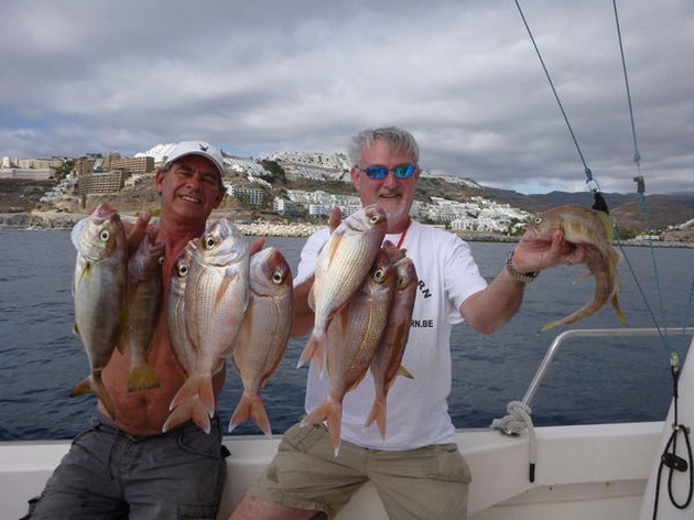 RÖDA SNAPPARE En dag som fiskade på revet förde flera - Cavalier & Blue Marlin Sport Fishing Gran Canaria