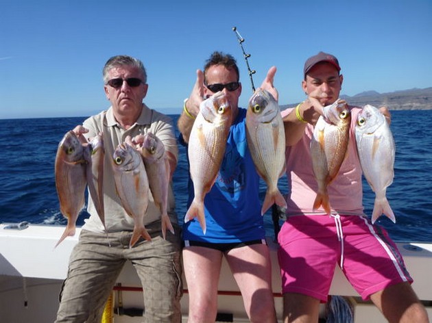 RÖDA SNAPPARE Idag hade vi en långsam start på det nya - Cavalier & Blue Marlin Sport Fishing Gran Canaria