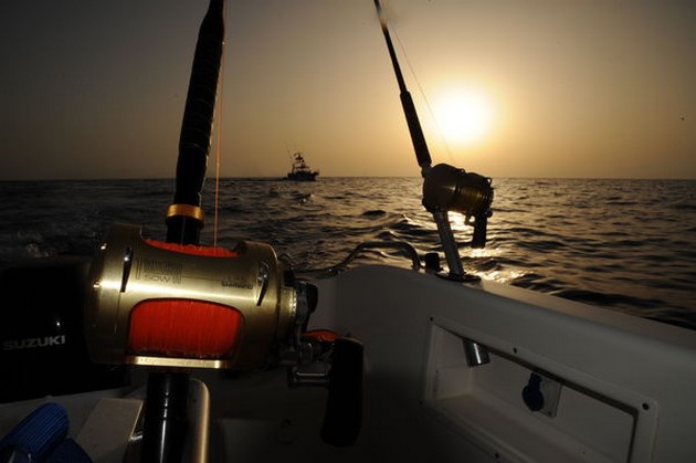 TROLLING CAVALIER inhyrdes i morse av - Cavalier & Blue Marlin Sport Fishing Gran Canaria