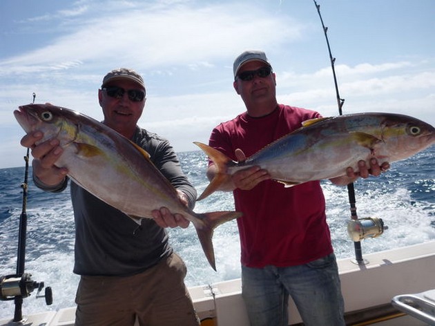 Tunas Den senaste veckan har vi en rimlig och en del - Cavalier & Blue Marlin Sport Fishing Gran Canaria