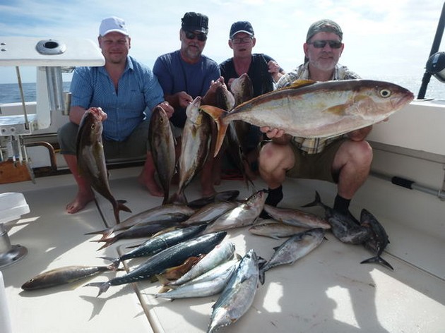 AMBERJACKS & SIERRAS & BARACUDA Igår och idag - Cavalier & Blue Marlin Sport Fishing Gran Canaria