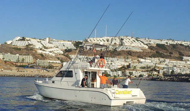 Allt tyder på att fånga den första - Cavalier & Blue Marlin Sport Fishing Gran Canaria