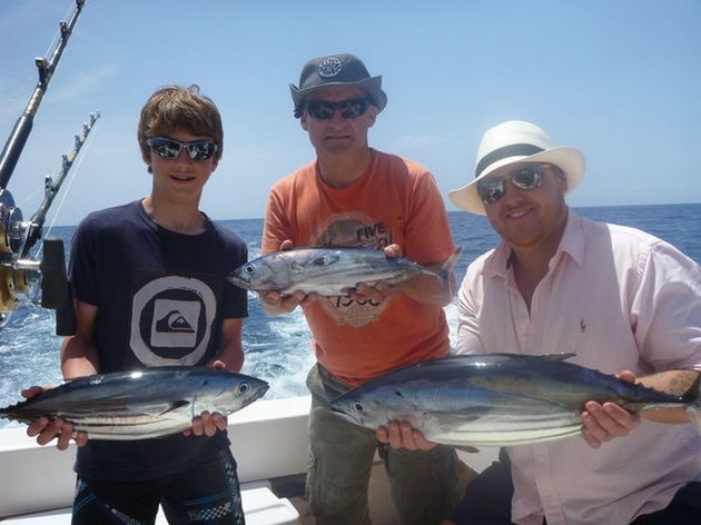 SKIPJACK TUNA Efter några dagar har varit i torrdocka - Cavalier & Blue Marlin Sport Fishing Gran Canaria