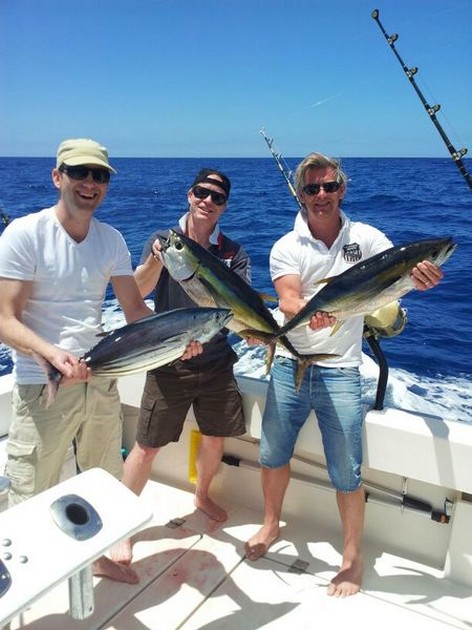 GUL FINTUNA Igår kunde jag nämna fångsten - Cavalier & Blue Marlin Sport Fishing Gran Canaria