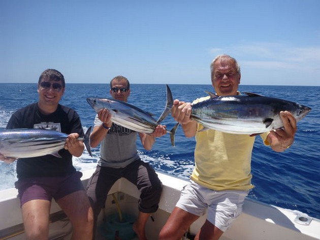 STORA SKIPJACKS Mycket stora Skipjacks fångades här - Cavalier & Blue Marlin Sport Fishing Gran Canaria