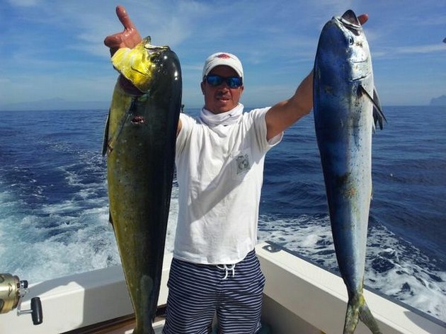 BIG DORADO`S - SKIPJACKS - KING FISH Tore Boger from - Cavalier & Blue Marlin Sport Fishing Gran Canaria