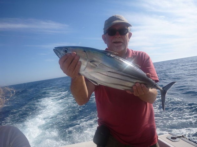 Skipjack Tuna Cavalier & Blue Marlin Sport Fishing Gran Canaria