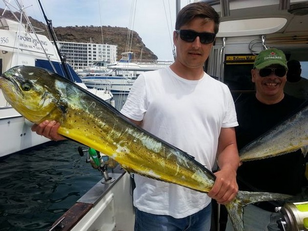 INTE LYCKA De senaste fiskedagarna har vi inte riktigt tur - Cavalier & Blue Marlin Sport Fishing Gran Canaria