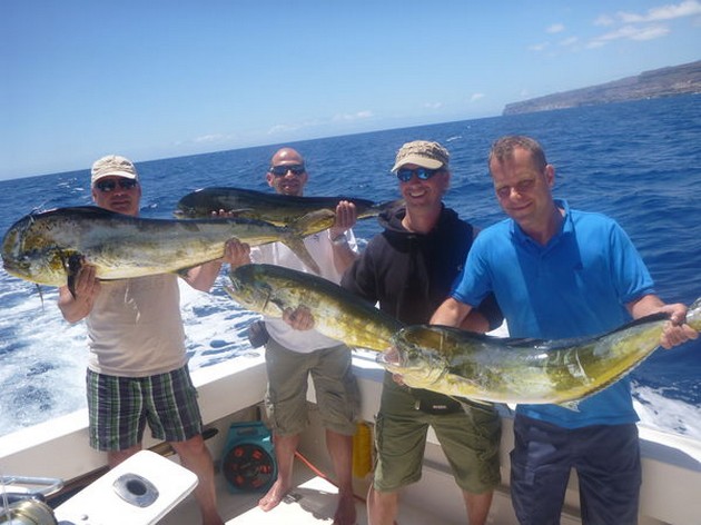 4 DORADO I dag hade vi en bra start på det nya fisket - Cavalier & Blue Marlin Sport Fishing Gran Canaria