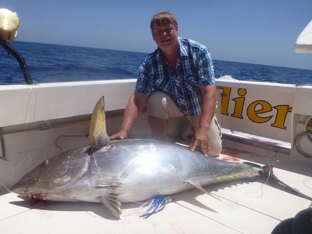 Big Eye tonfisk 105 kg - Cavalier & Blue Marlin Sport Fishing Gran Canaria