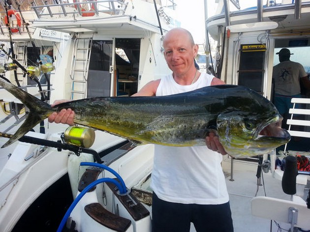 Dorado - Cavalier & Blue Marlin Sport Fishing Gran Canaria