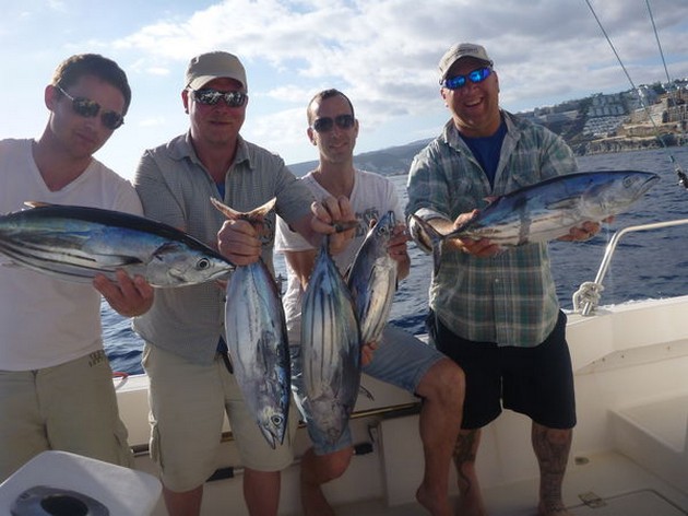 Skipjacks + Dorado's - Cavalier & Blue Marlin Sport Fishing Gran Canaria