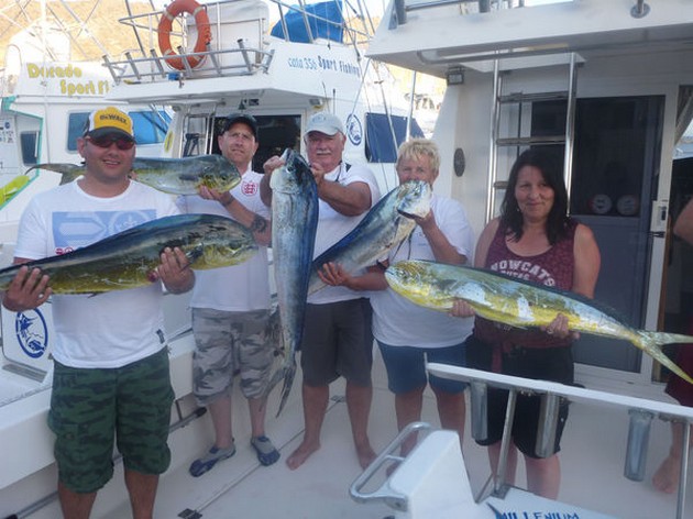 Dorado's & Skipjacks - Cavalier & Blue Marlin Sport Fishing Gran Canaria