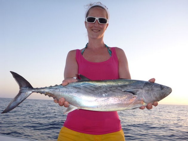 Amberjacks - Cavalier & Blue Marlin Sport Fishing Gran Canaria