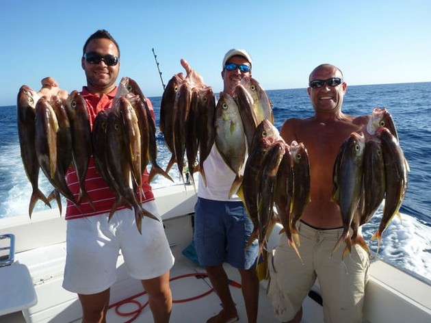 Dorado & Amberjacks - Cavalier & Blue Marlin Sport Fishing Gran Canaria