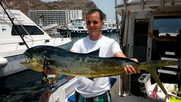 Dorado - Cavalier & Blue Marlin Sport Fishing Gran Canaria