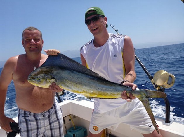 Skipjacks + Dorado's - Cavalier & Blue Marlin Sport Fishing Gran Canaria