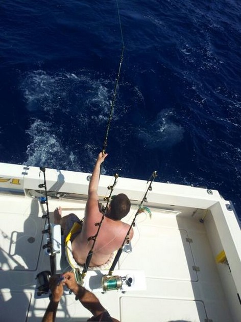 Spearfish 25 kg - Cavalier & Blue Marlin Sport Fishing Gran Canaria