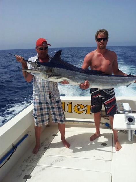 Spjut fisk - Cavalier & Blue Marlin Sport Fishing Gran Canaria