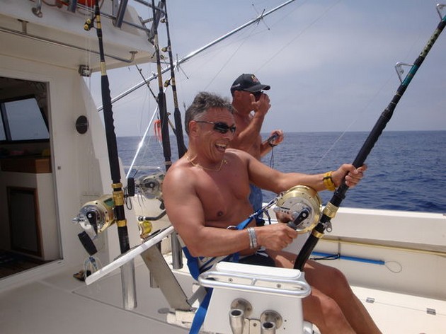 Blue Marlin släppt - Cavalier & Blue Marlin Sport Fishing Gran Canaria